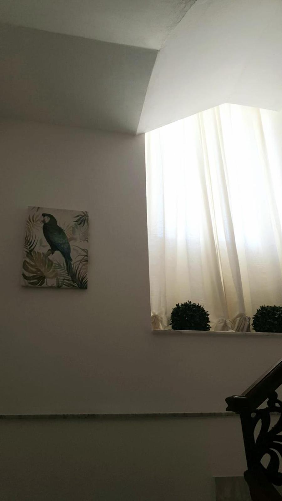 Mia'S Rooms Noto Kültér fotó